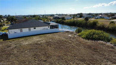 Exclusive Waterfront Opportunity in Cape Coral, Florida Discover - photo 10