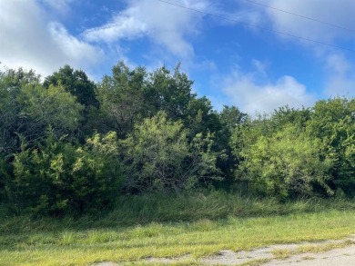 Lake Lot For Sale in Whitney, Texas