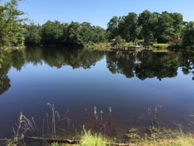 Woodsy Retreat on Private Lake - photo 3
