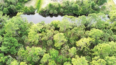 GREAT LOT WITH FRESH WATER CANAL in the back. Discover the - photo 3