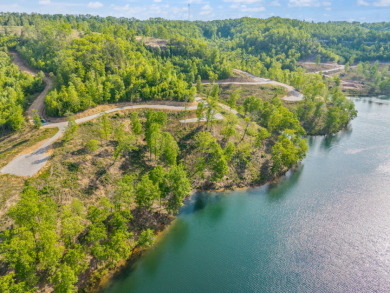 Sleepy Hollow Phase II on beautiful Wood Creek Lake - photo 7