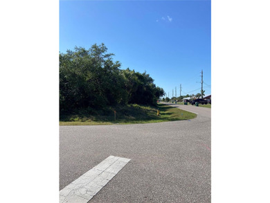 Don't miss your opportunity to own this OVERSIZED CORNER LOT. NO - photo 3