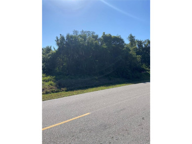 Don't miss your opportunity to own this OVERSIZED CORNER LOT. NO - photo 9