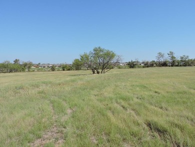 Cedar Creek Lake Lot For Sale in Mabank Texas