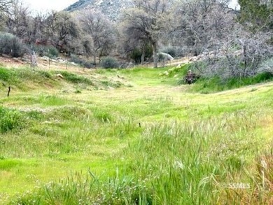 This is a great location !! Two Party Well Share, Power & Septic - photo 8