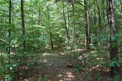 Deerhead Lake Lot For Sale in Dunlap Tennessee