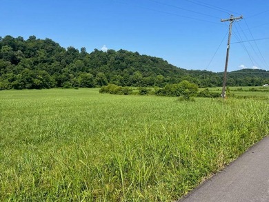 Lake Acreage For Sale in Burkesville, Kentucky
