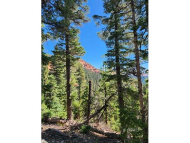 Navajo Lake Lot For Sale in Duck Creek Village Utah