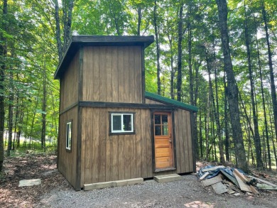 Lake Acreage For Sale in Park Falls, Wisconsin