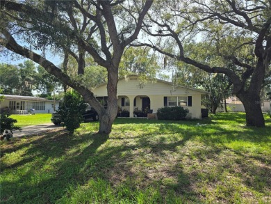 North Lake - Marion County Home For Sale in Silver Springs Florida