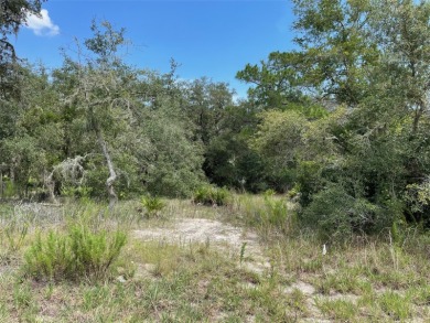 Lake Lot For Sale in Dunnellon, Florida