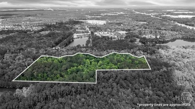 +/-15 acres (2.78 uplands) adjacent to the Highlands Business - photo 11