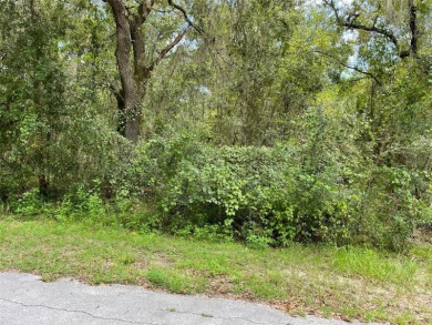 Lake Lot For Sale in Dunnellon, Florida