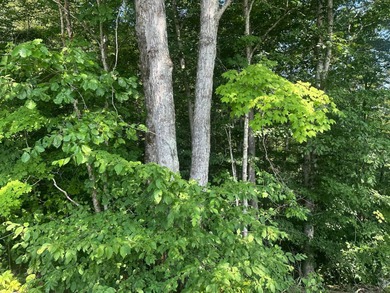 Dale Hollow Lake Lot For Sale in Celina Tennessee