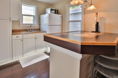 Welcome to your perfect getaway on Lake Shafer! - photo 6