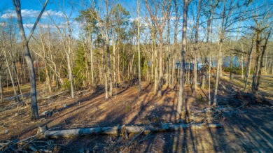 Watts Bar Lake Lot Sale Pending in Spring City Tennessee