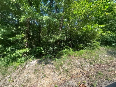 Dale Hollow Lake Lot For Sale in Celina Tennessee