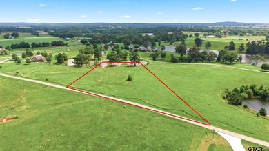 Caddo Creek Lake Acreage For Sale in Larue Texas