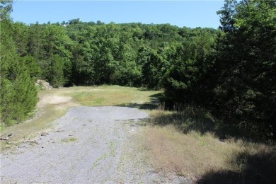 Table Rock Lake - Carroll County Lot For Sale in Holiday Island Arkansas