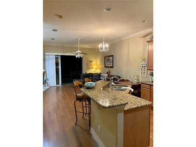 Rare opportunity to own a villa with deeded boat slip to the - photo 4