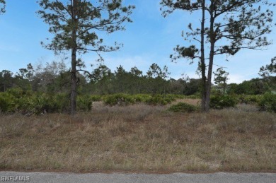Lehigh Acres Area Lot For Sale in Lehigh Acres Florida