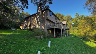 Lake Home For Sale in Wyanett Twp, Minnesota