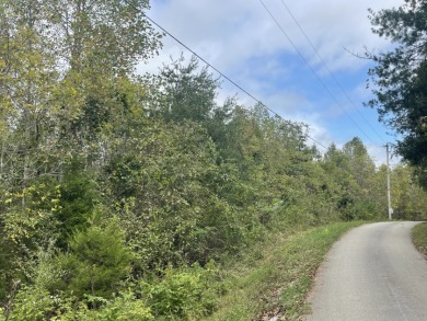 2.75 Acre Lake Cumberland Lot w Light Covenants - photo 11