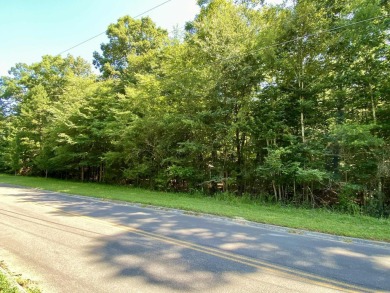 Lake Lot For Sale in Dandridge, Tennessee