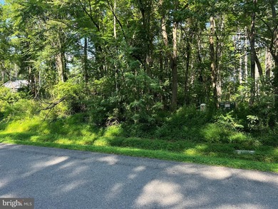 Almost 2 wooded acres backing to common ground in the - photo 3