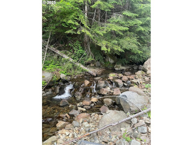 Discover an exceptional 33-acre timber and recreational - photo 16