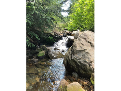 Discover an exceptional 33-acre timber and recreational - photo 17