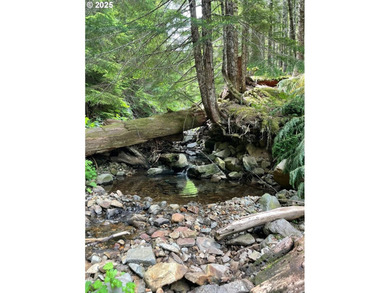Discover an exceptional 33-acre timber and recreational - photo 18