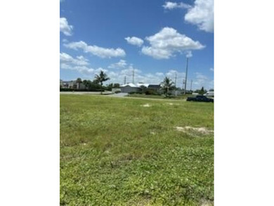Waterfront lot in the rapidly growing NW Cape Coral corridor! - photo 22
