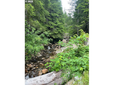 Discover an exceptional 33-acre timber and recreational - photo 22