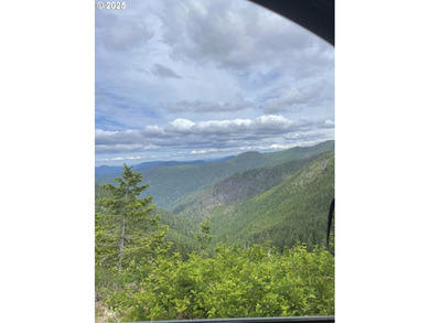 Discover an exceptional 33-acre timber and recreational - photo 23
