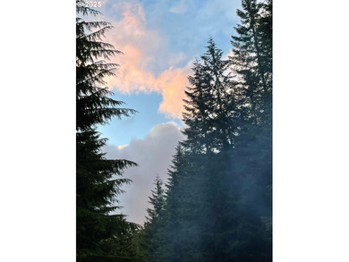 Discover an exceptional 33-acre timber and recreational - photo 24