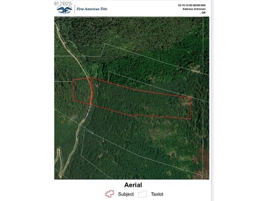 Discover an exceptional 33-acre timber and recreational - photo 26