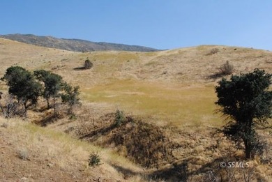 Three contiguous parcels totaling over 3 acres present a prime - photo 7