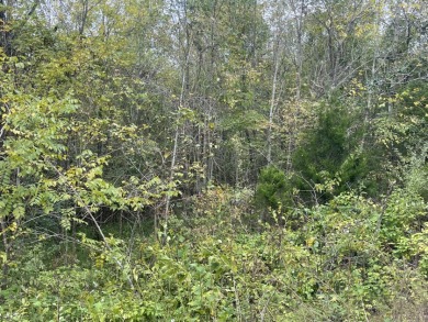 2.75 Acre Lake Cumberland Lot w Light Covenants - photo 10