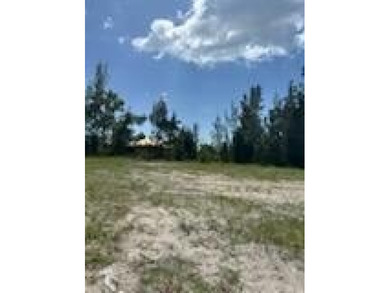 Waterfront lot in the rapidly growing NW Cape Coral corridor! - photo 31