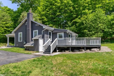 Walton Lake Home Sale Pending in Chester Town New York