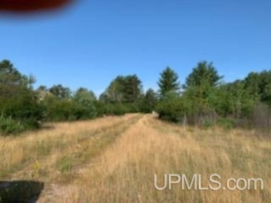 Lake Acreage Off Market in Escanaba, Michigan