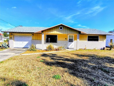 Lake Panasoffkee Home For Sale in Lake Panasoffkee Florida