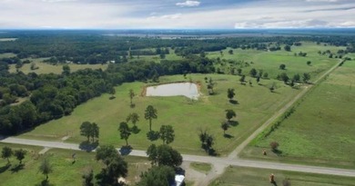 (private lake, pond, creek) Acreage For Sale in Tennessee Colony Texas