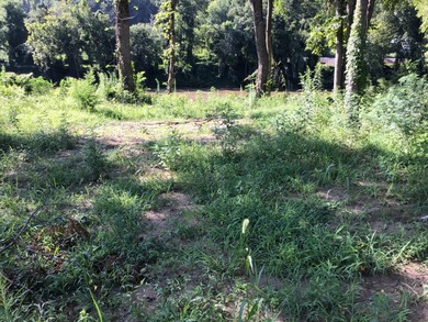 French Broad River Lot For Sale in Del Rio Tennessee