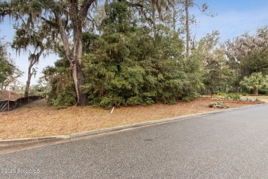 Marshfront Lot with Stunning River Views in Cumberland Harbour - photo 13