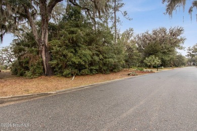 Marshfront Lot with Stunning River Views in Cumberland Harbour - photo 14