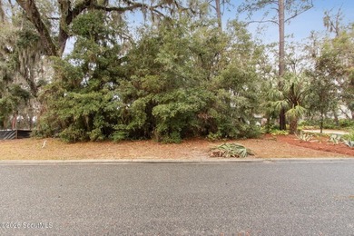 Marshfront Lot with Stunning River Views in Cumberland Harbour - photo 15
