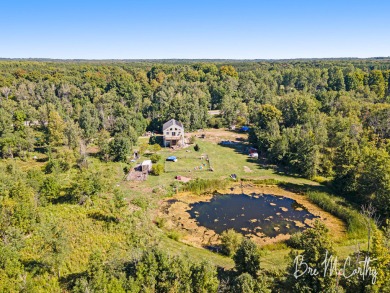 (private lake, pond, creek) Home For Sale in Hesperia Michigan