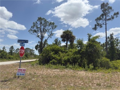 Lehigh Acres Area Lot For Sale in Lehigh Acres Florida